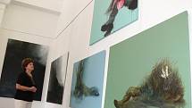 Až do 4. září 2011 je v kroměřížské Galerii Orlovna k vidění výstava Kromě Alenky – Říše za zrcadlem. Jedná se o kolektivní výstavu prací mladých absolventů AVU a FAVU ze sdružení GET ART!.