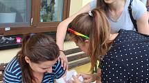 Studenti Tauferovy střední odborné školy veterinární si předposlední den školy vyzkoušeli, jak by obstáli při poskytování první pomoci raněnému.