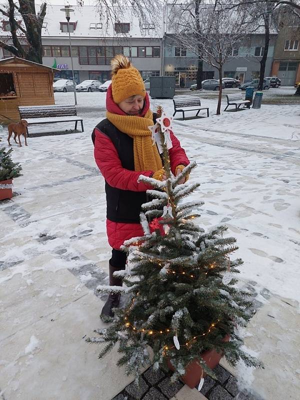 Hulínské náměstí zdobí velký vánoční strom a 26 malých stromečků.