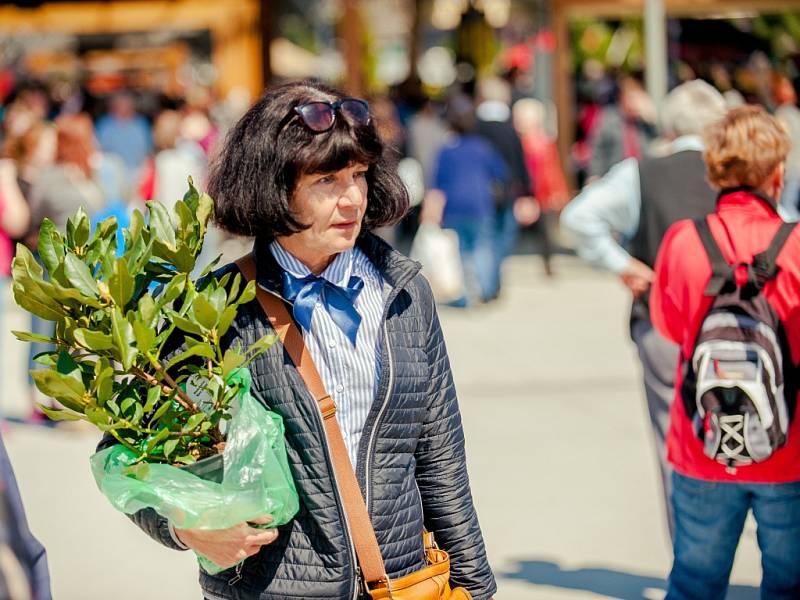 Na kroměřížském výstavišti začal v sobotu 30. dubna čtyřicátý ročník výstavy Floria Jaro: nabídl kromě tradičních květin také zajímavý doprovodný program.