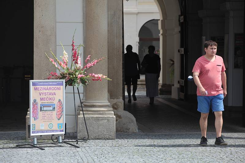 Mezinárodní výstava gladiol v holešovském zámku.