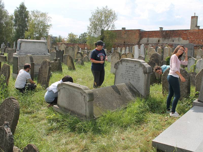 Skupinka dobrovolníků z několika zemí světa už pár dnů dává do pořádku židovský hřbitov v Holešově. Úklidové práce tam provádějí při příležitosti právě probíhajícího Týdne židovské kultury.