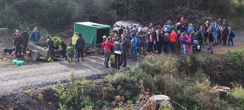 Arcibiskupské lesy a statky organizovaly veřejnou výsadbu mladých stromků na kalamitní holině u obce Rajnochovice.