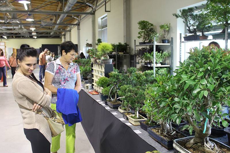 Program kroměřížské výstavy Floria Podzim 2017 je opět bohatý. Tamní výstaviště tak na celé čtyři dny zaplnily květiny, stromy, ovoce, zelenina a tentokrát také hospodářská zvířata.