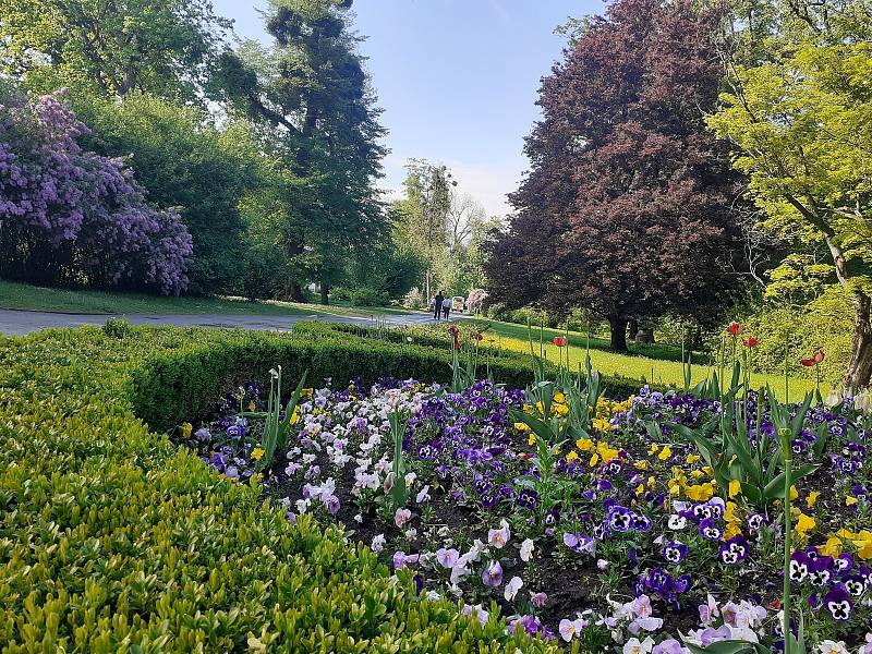 Podzámecká zahrada v Kroměříži, 15. května 2021