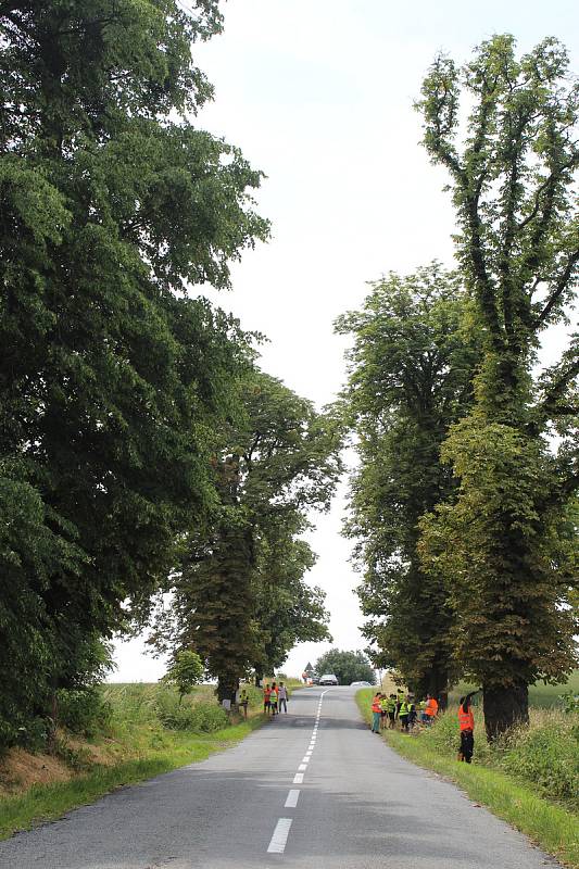 K akci na ochranu stromů jedné kvasické aleje, kterou uspořádala nezisková společnost Arnika, se v pátek připojili i žáci tamní základní školy.