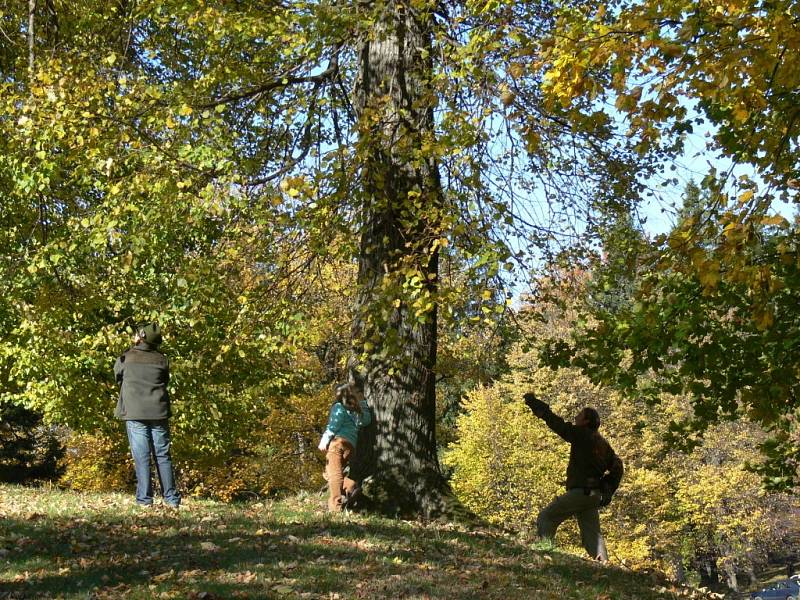 Na svatém Hostýně se 20. 10. konala tradiční Myslivecká svatohuberská pouť. Událost si nenechali vyjít myslivci z regionu, ale také z celé republiky.