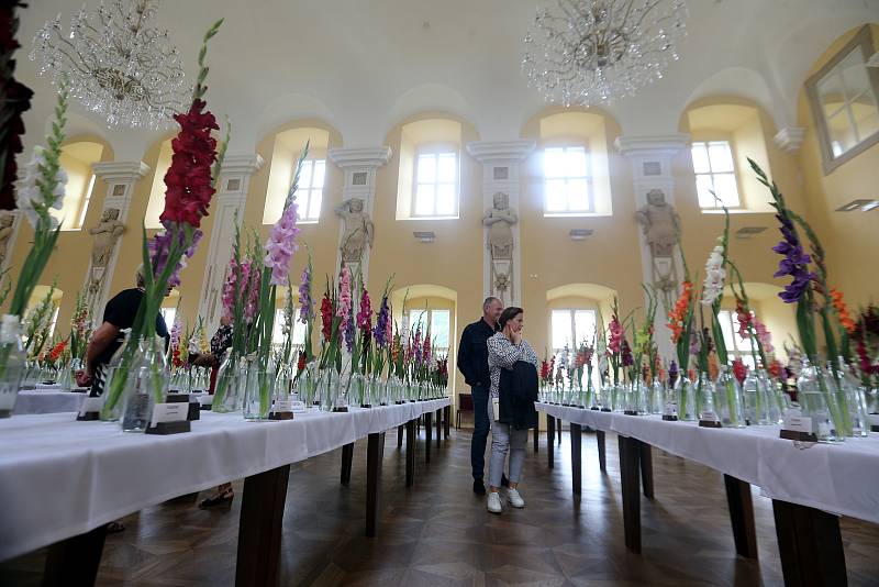 Mezinárodní výstava mečíků na zámku v Holešově.