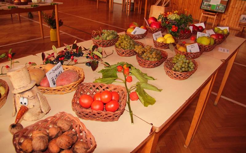 Výstava ovoce, zeleniny a včelích produktů ve Zdounkách.