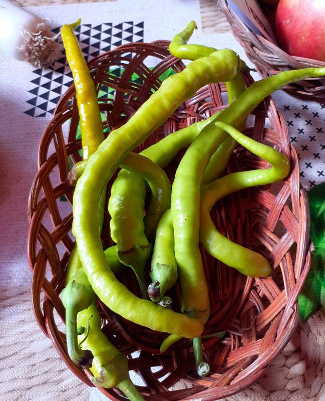 Výstava ovoce, zeleniny a včelích produktů ve Zdounkách.