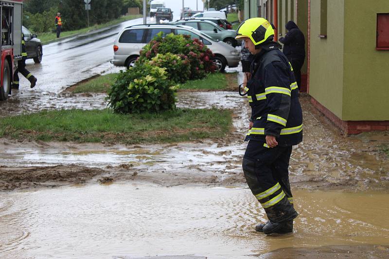 Povodně, Trávník.