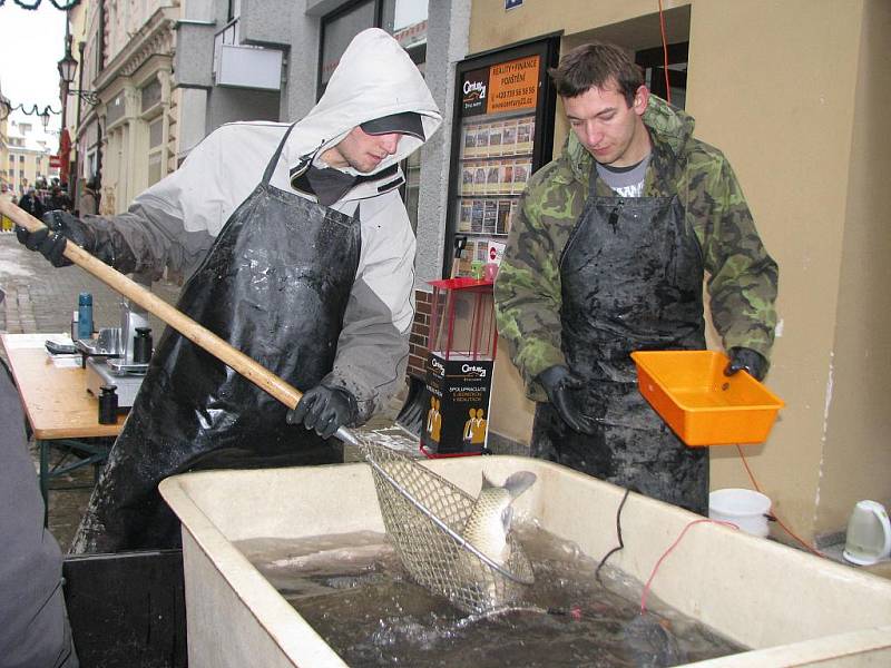 V kroměřížské ulici Kovářská prodávají od pondělí 20. prosince 2010 vánoční kapry. Ryby pocházejí z tovačovského rybářství.