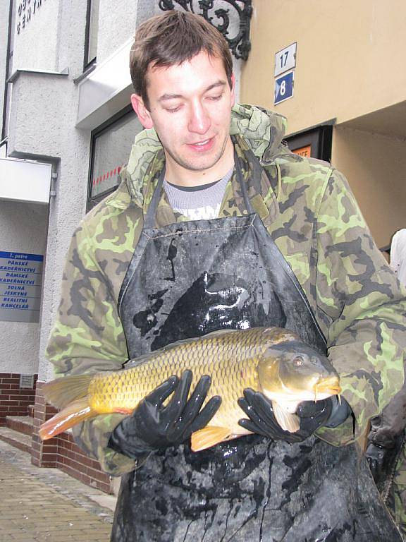 V kroměřížské ulici Kovářská prodávají od pondělí 20. prosince 2010 vánoční kapry. Ryby pocházejí z tovačovského rybářství.
