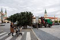 Převoz a instalace vánočního stromu na Velké námětí v Kroměříži; listopad 2023