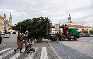 Převoz a instalace vánočního stromu na Velké námětí v Kroměříži; listopad 2023