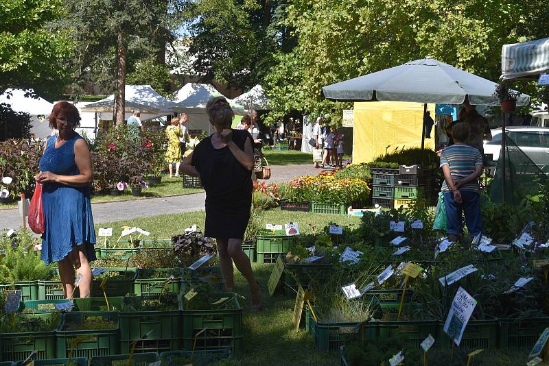 Letní prodejní výstava Zahrada Věžky 2022 opět přilákala davy návštěvníků.