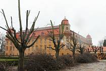 Zámecký park v Holešově prořídl o zhruba pět stovek starých stromů. Holá místa však vedení města slibuje nahradit novou výsadbou.