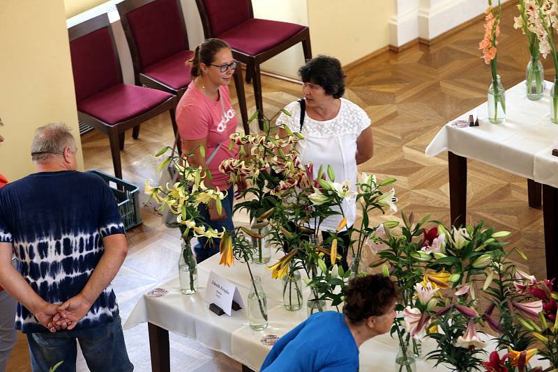 Mezinárodní výstava mečíků na zámku v Holešově.