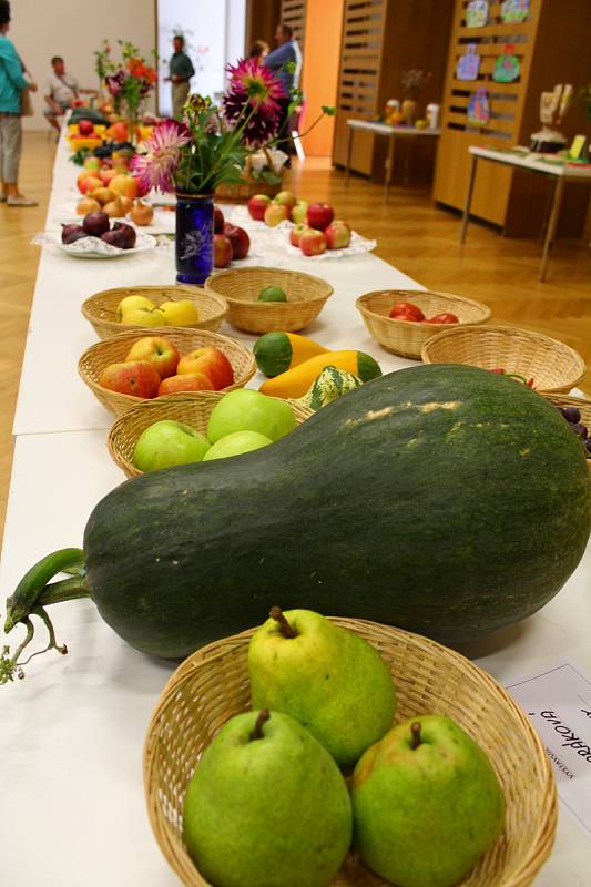 Výstava ovoce, zeleniny, včelích produktů a ostatních květin ve Zdounkách