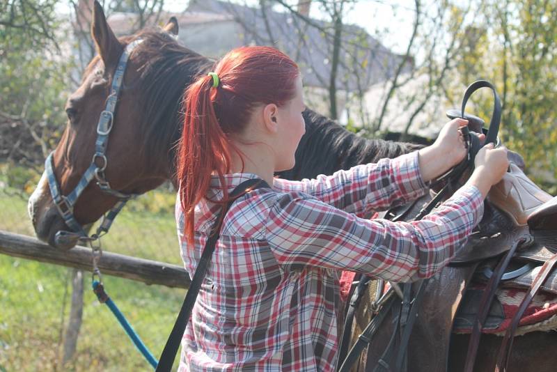 Vlastní kůň? Je to krásný koníček, ale drahý a časově náročný, přesto je pohled ze hřbetu koně nejkrásnější.