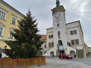 Ilustrační foto. Vánoční strom v Kroměříži z roku 2022