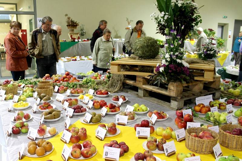 Prodejní výstava Floria Podzim v Kroměříži je letos spjata s expozicí bonsají.