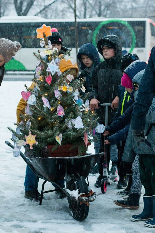 Hulínské náměstí zdobí velký vánoční strom a 26 malých stromečků.