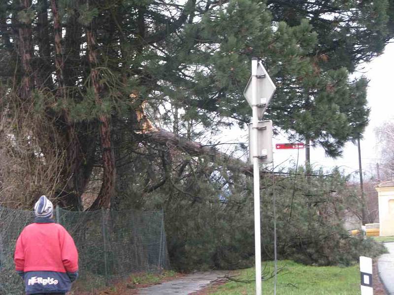 Vichřice vyvracela stromy v celém kraji.