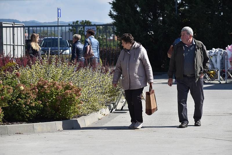 Podzimní výstava Floria Bonsaj na Výstavišti Kroměříž. 23. září 2022.