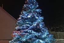 Vánoční strom ze Slížan zaujal nejvíce hlasujících.