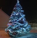 Vánoční strom ze Slížan zaujal nejvíce hlasujících.