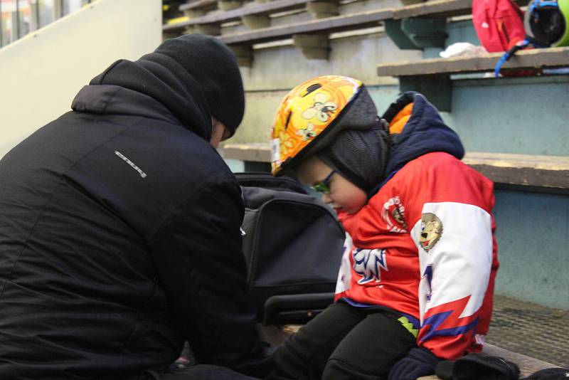 Všech devět klubů kraje se zapojí během tohoto týdne do již šestého ročníku projektu Týden hokeje, který má za cíl představit nejmenším dětem lední hokej.