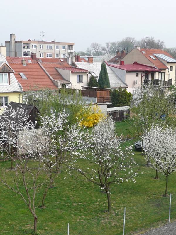 Pozemek v Kroměříži, kde by firma chtěla postavit výškovou budovu. Lidé z okolních domů se však takovému plánu brání a dopisem už protestovali na radnici.