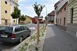 Na několika místech Kroměříže probíhá obnova zeleně.