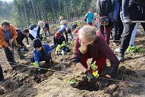 Arcibiskupské lesy a statky organizovaly veřejnou výsadbu mladých stromků na kalamitní holině u obce Rajnochovice.