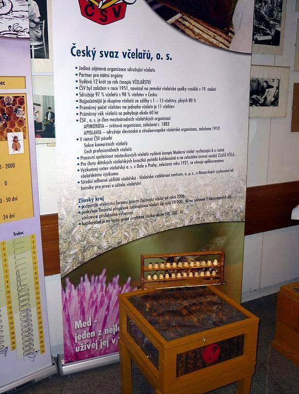 Nespočet druhů medu, medové perníčky, ale i propolisové masti – to vše bylo k vidění v rámci Medového dne v Holešově. Pro návštěvníky byla rovněž přichystaná ochutnávka medoviny.
