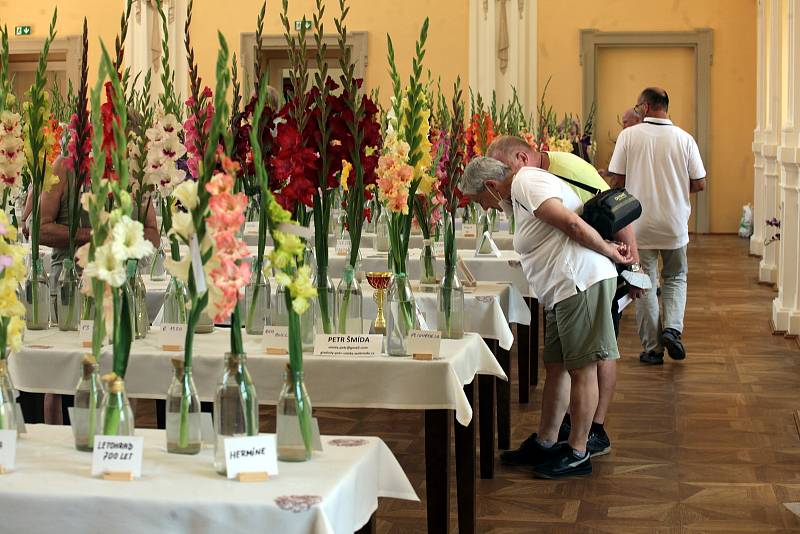 Mezinárodní výstava gladiol v holešovském zámku.