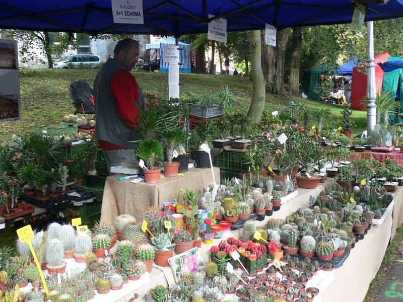 Zahrada Věžky podzim 2013