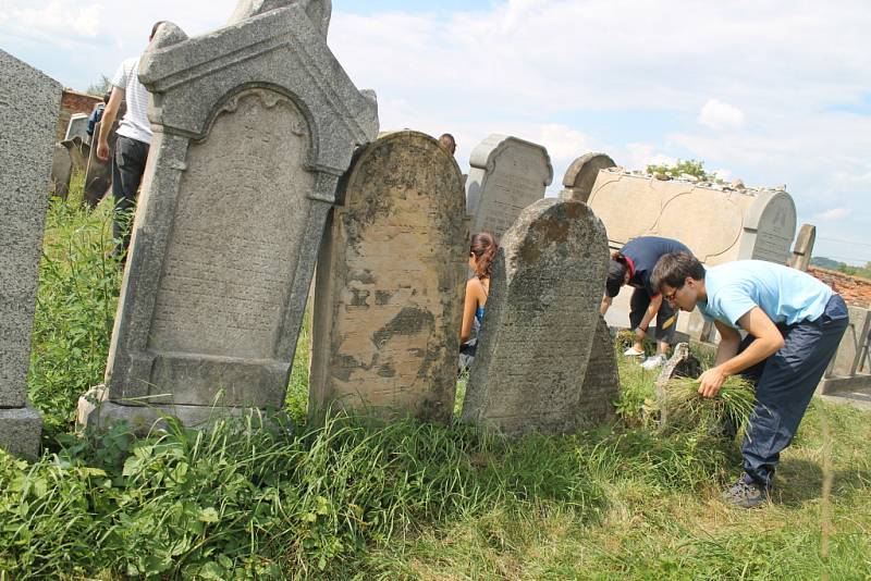 Skupinka dobrovolníků z několika zemí světa už pár dnů dává do pořádku židovský hřbitov v Holešově. Úklidové práce tam provádějí při příležitosti právě probíhajícího Týdne židovské kultury.