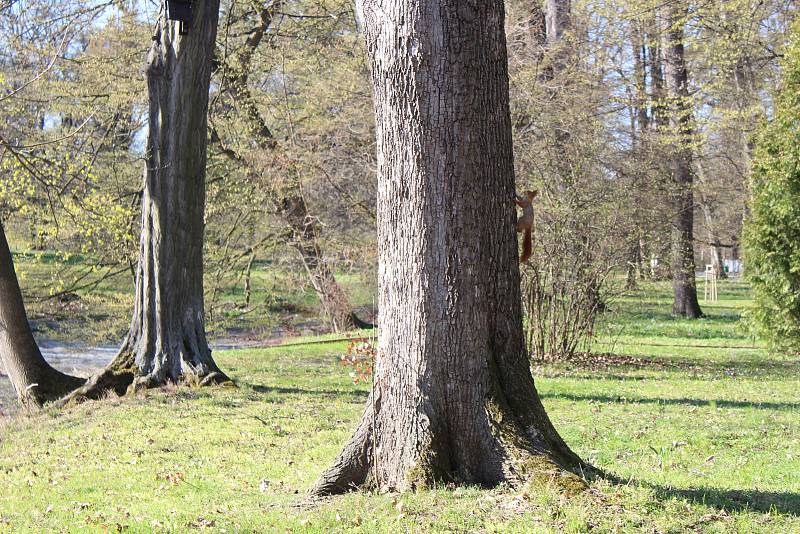 Vypuštěný Chotkův rybník v Podzámecké zahradě v Kroměříži