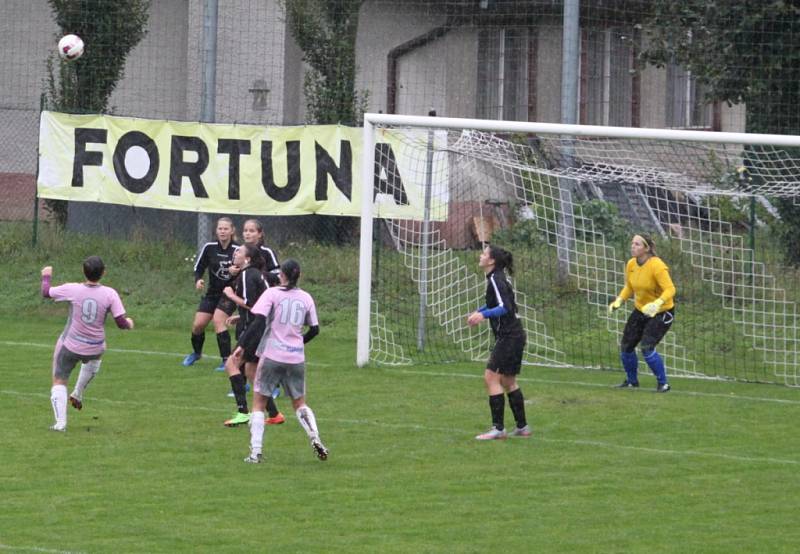  fotbalová KP žen Holešovské holky - Březnice