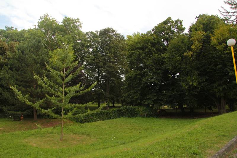 Zámecký park Zborovice.