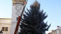 Na Velkém náměstí v Kroměříži vztyčili v pondělí 23. listopadu letošní vánoční strom: devět a půl metru vysoký smrk musel ale nejdřív absolvovat cestu ulicemi města.