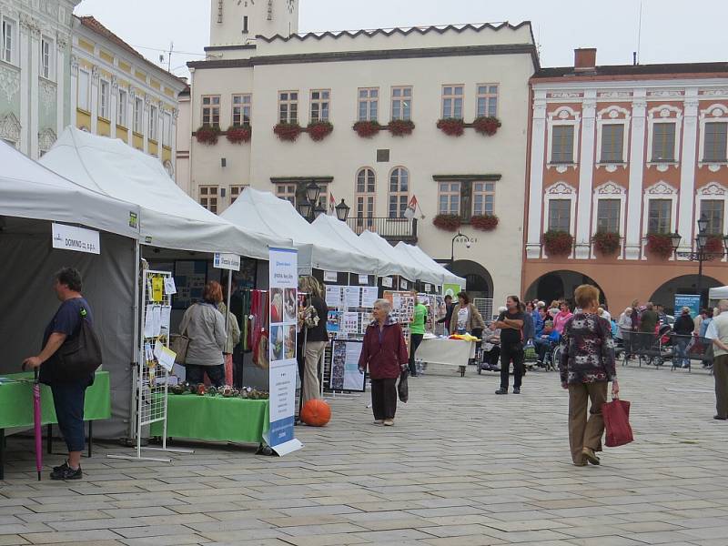 Šestadvacet poskytovatelů sociálních služeb se představilo ve středu na Masarykově náměstí v Novém Jičíně při akci Den sociálních služeb. 