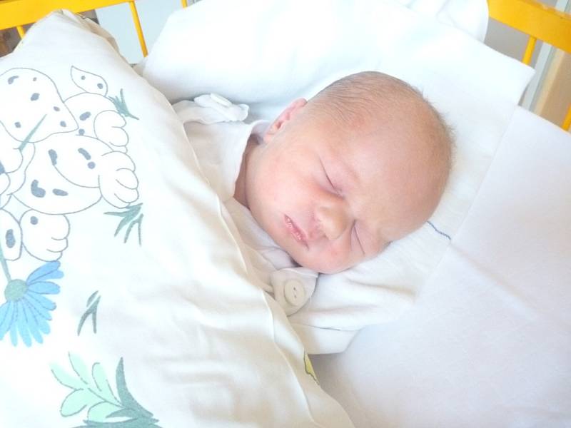 DENISA FOJTÍKOVÁ, Fulnek, nar. 31. 3. 2015, 50 cm, 3,30 kg. Nemocnice Nový Jičín. 