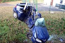 Řidiče, který zůstal po nárazu do stromu zaklíněný ve voze, museli vyprostit hasiči v neděli na silnici z Bílova do Pustějova.