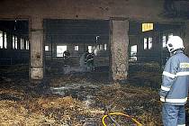 Při požáru kravína ve Studénce v neděli 13. června se podařilo zachránit všechny krávy.