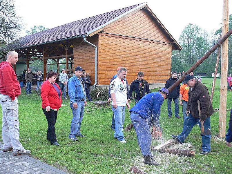 Tak jako letos se při stavění máje v Bartošovicích prý ještě nenadřeli. Kmen byl mokrý a těžký, a navíc nevešel do připravené díry. 