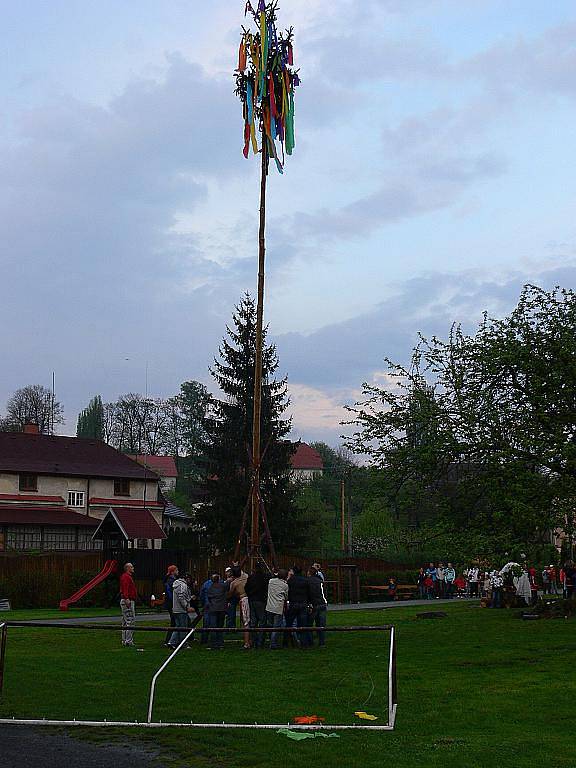 Tak jako letos se při stavění máje v Bartošovicích prý ještě nenadřeli. Kmen byl mokrý a těžký, a navíc nevešel do připravené díry. 