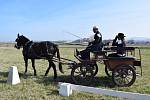 Stáj Davida Haitla z Bernartic nad Odrou pořádala o posledním březnovém víkendu letošního roku vozatajské zkoušky.